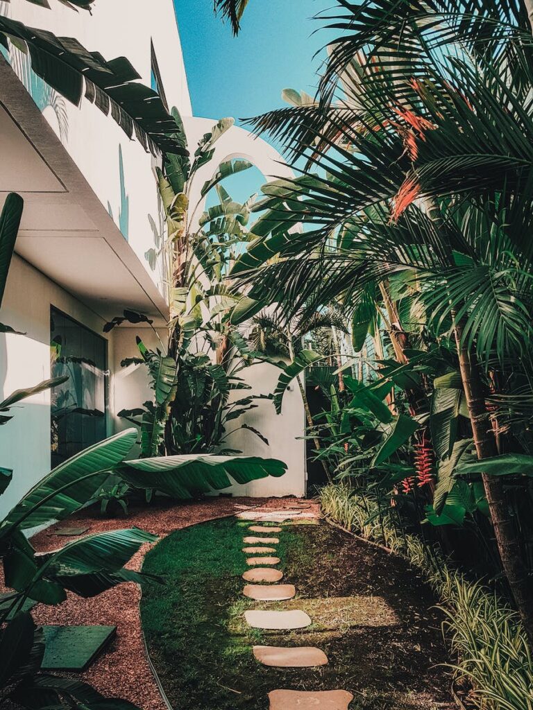 Garden Walkway View