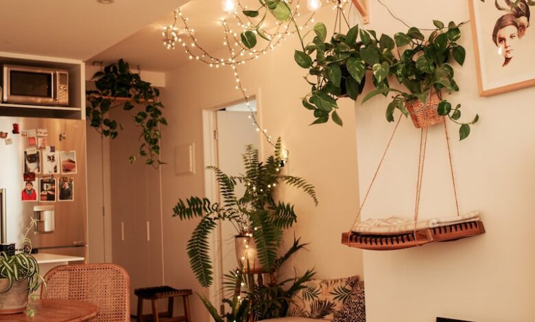 green indoor plant near brown wooden table